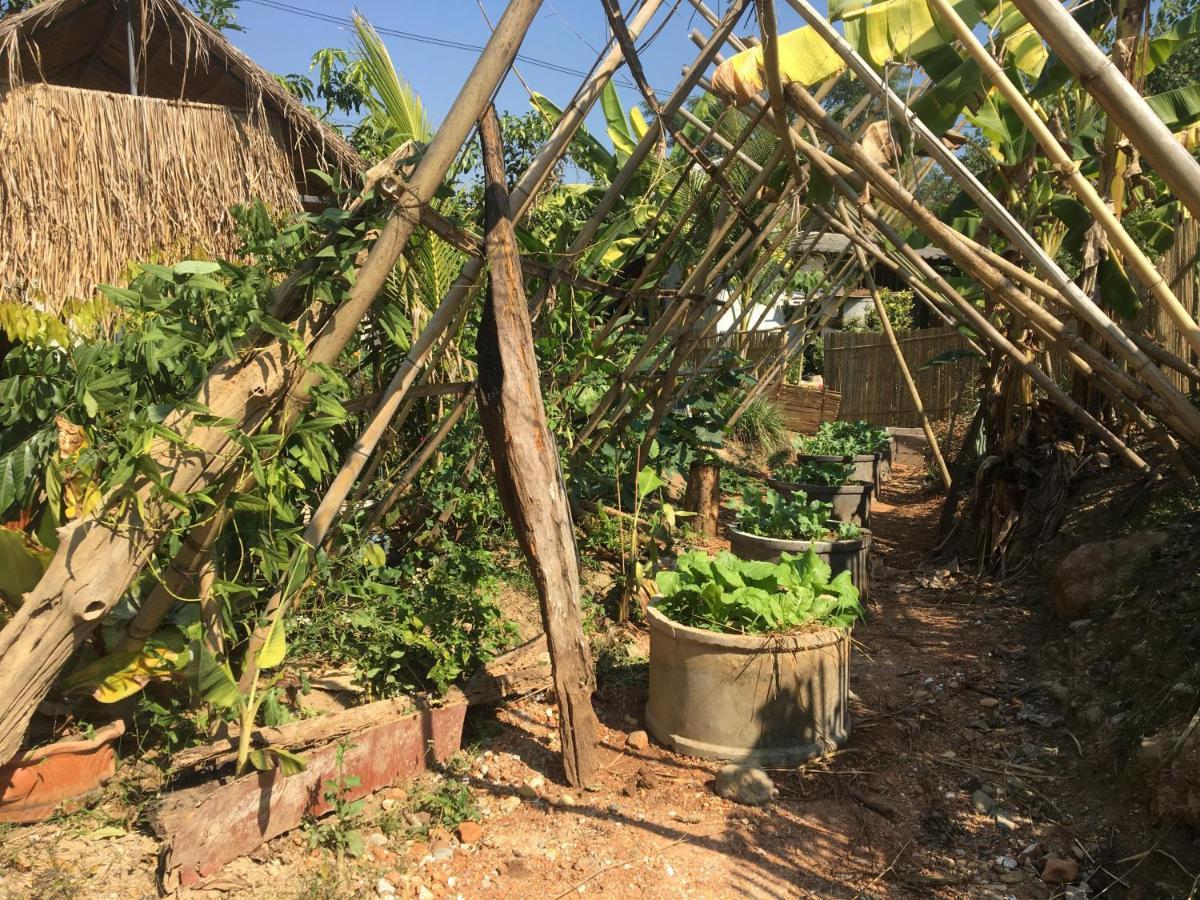 Thong Family Homestay Chiangdao Chiang Dao Eksteriør bilde