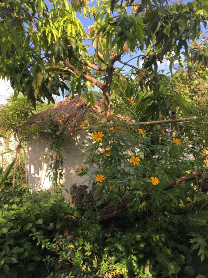 Thong Family Homestay Chiangdao Chiang Dao Eksteriør bilde